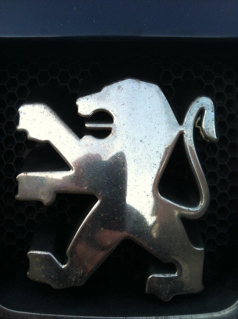 Peugeot 406 billede 1