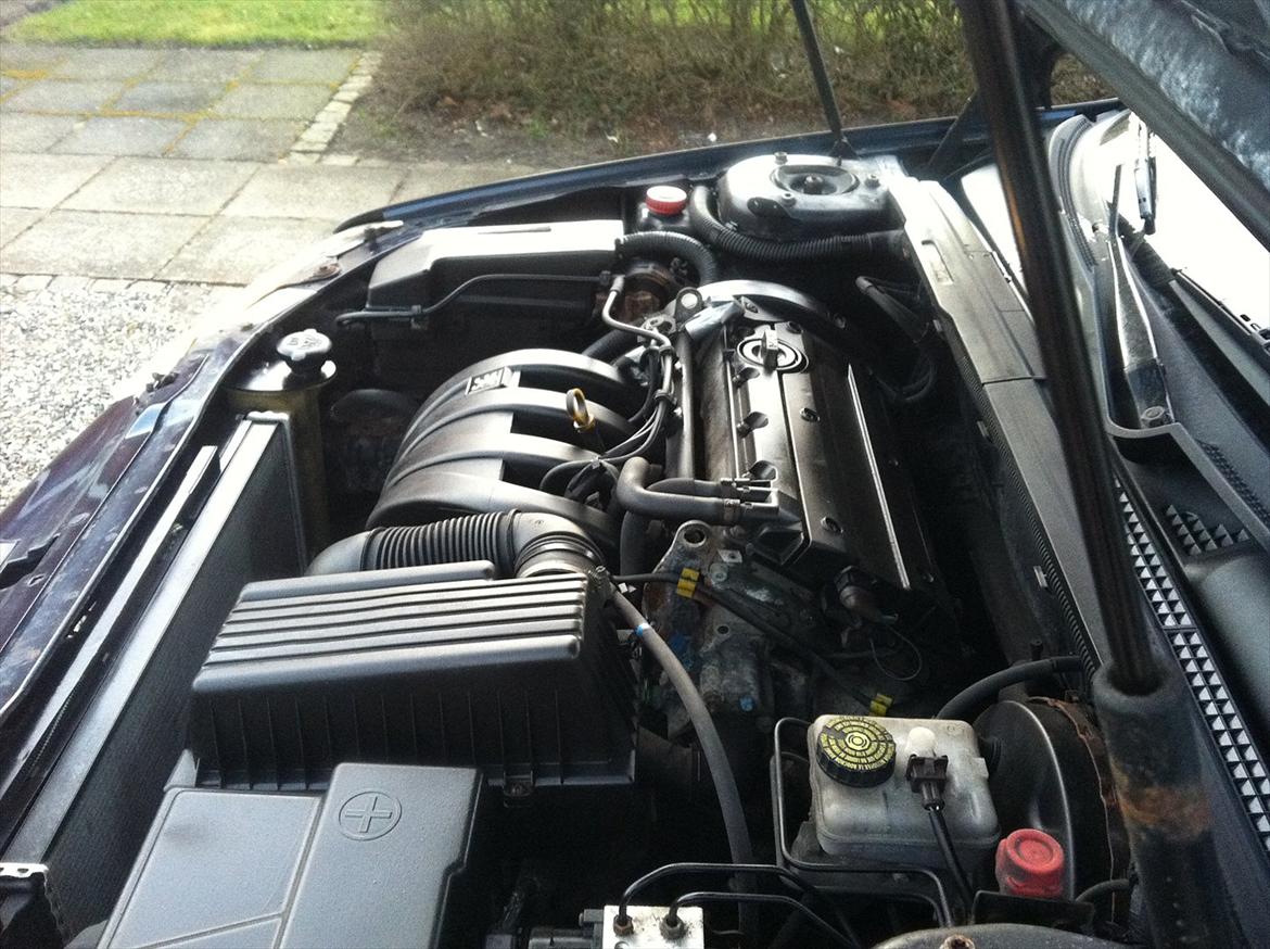 Peugeot 406 billede 14