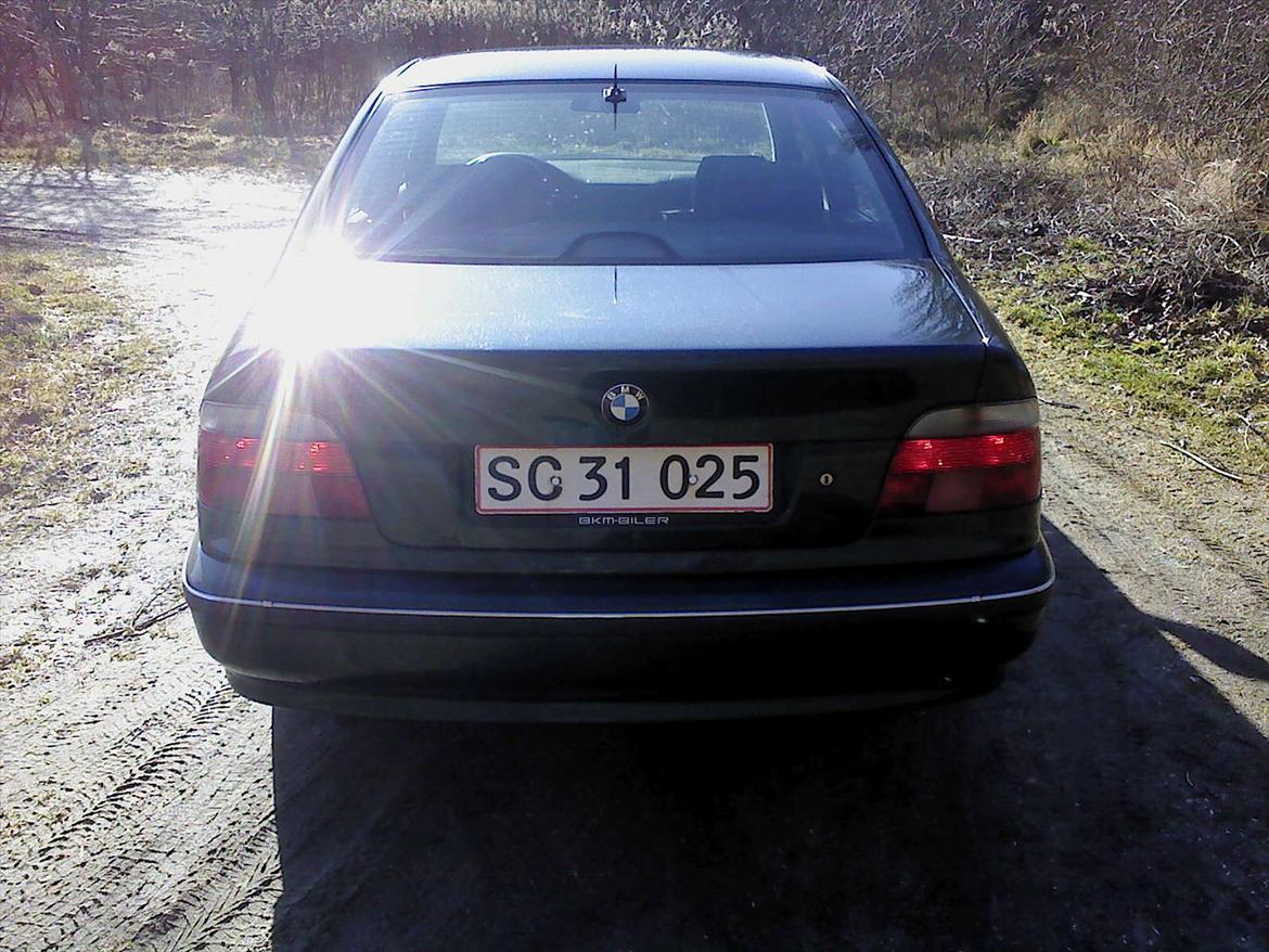 BMW 523I e39*er  under kniven * billede 11