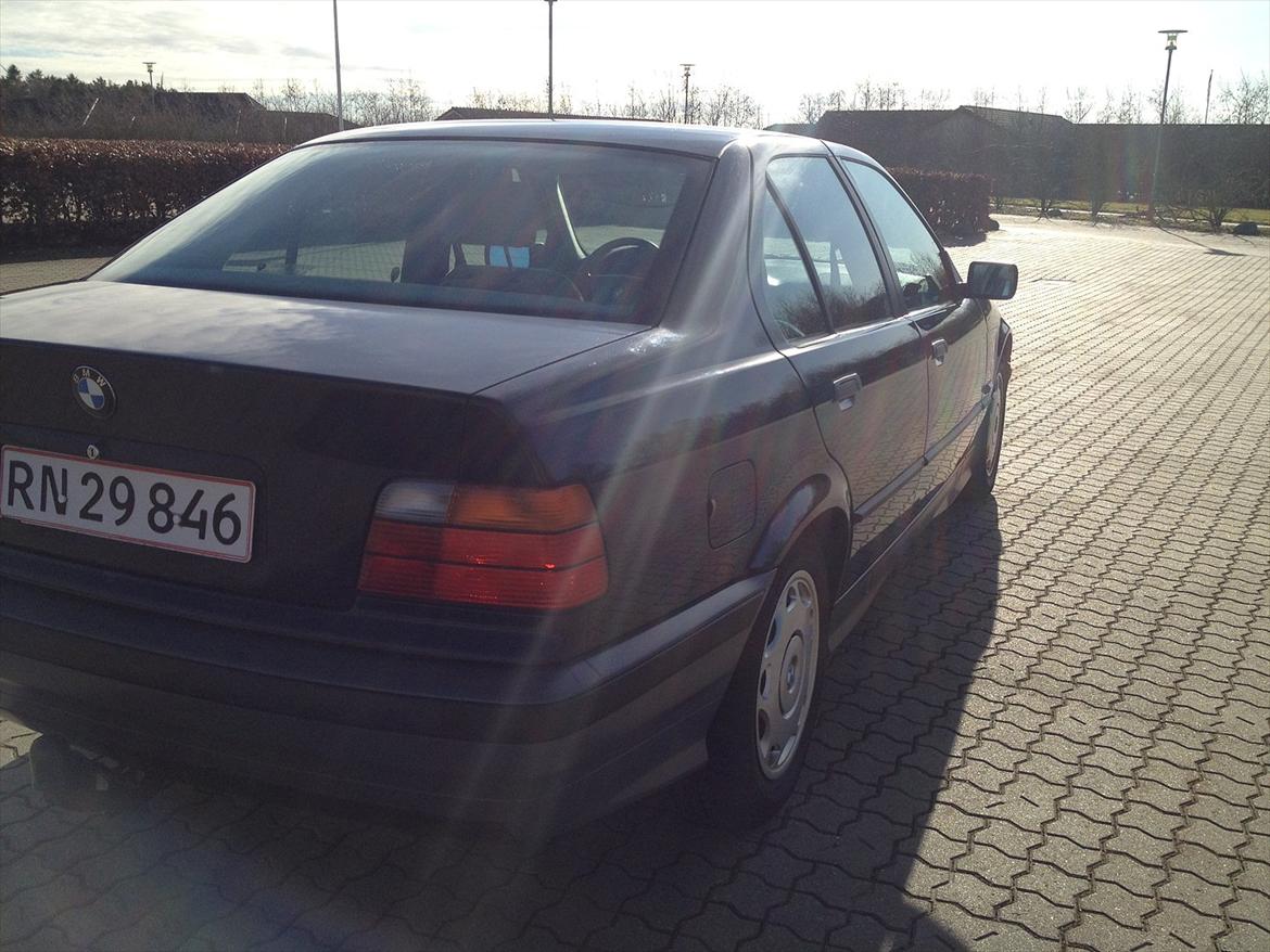 BMW 316i billede 11