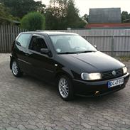 VW Polo 6N