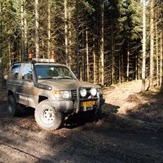 Mitsubishi  Pajero 2,5 TD GL pick-up
