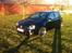 VW Golf GTI DSG