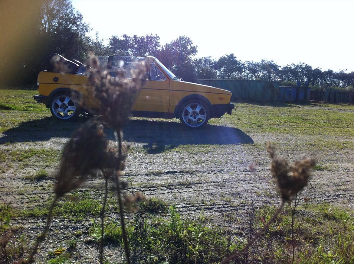 VW Golf 1 Carbiolet billede 2