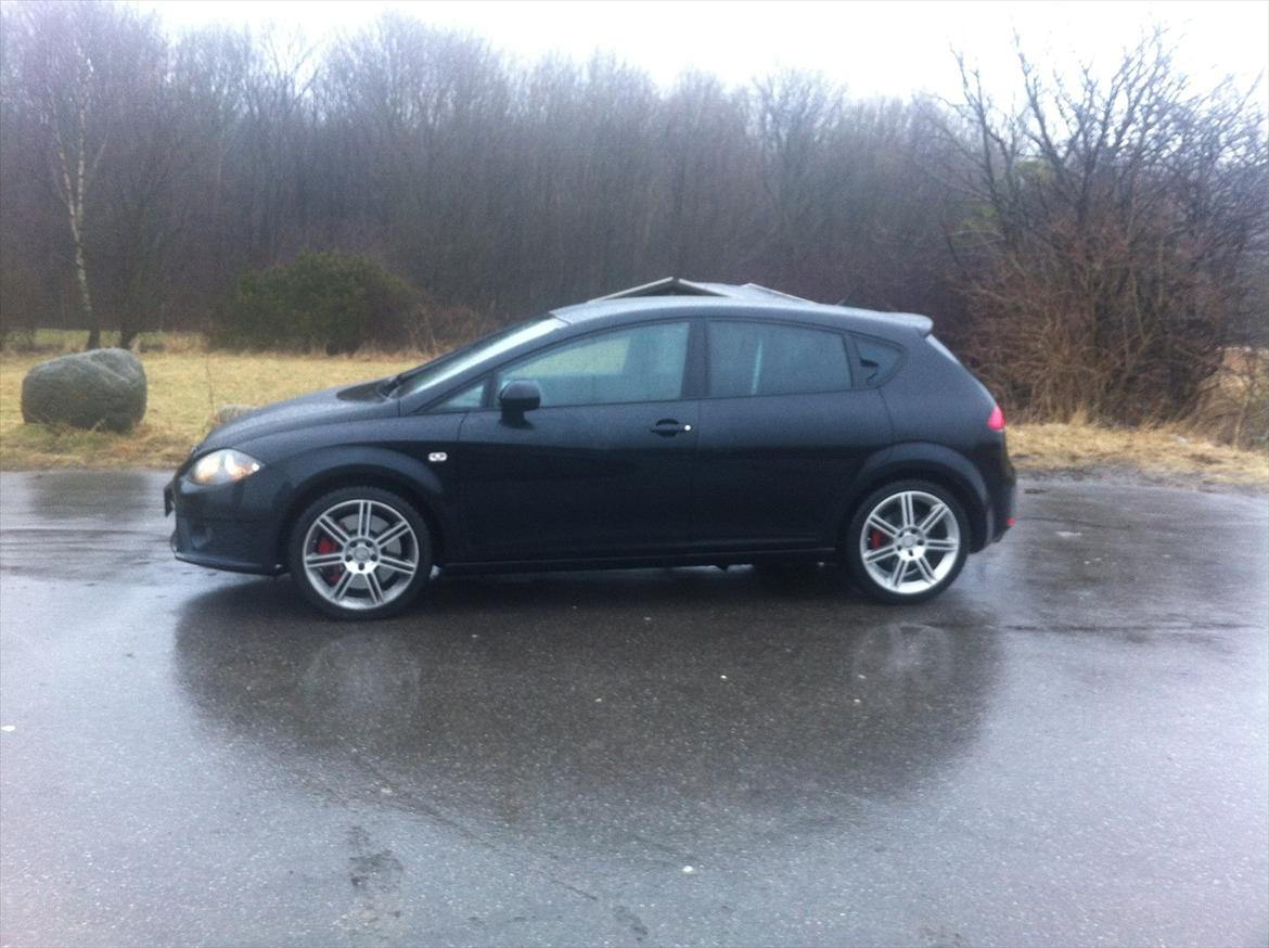 Seat Leon Cupra R billede 8