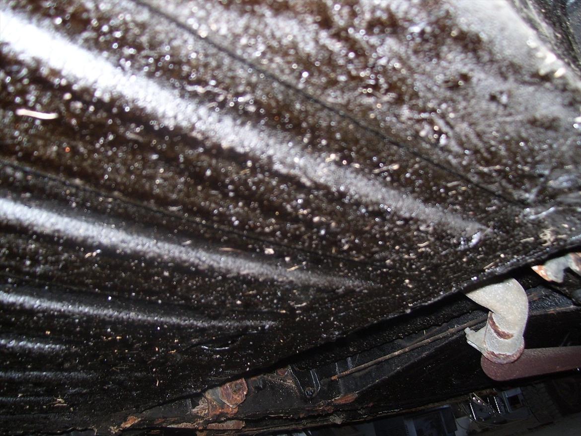 Renault R16 TL billede 3