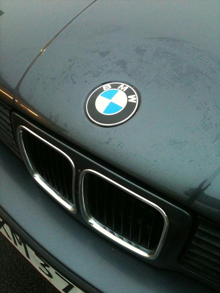 BMW E34 525i aut. - Nyt emblem :-) billede 17