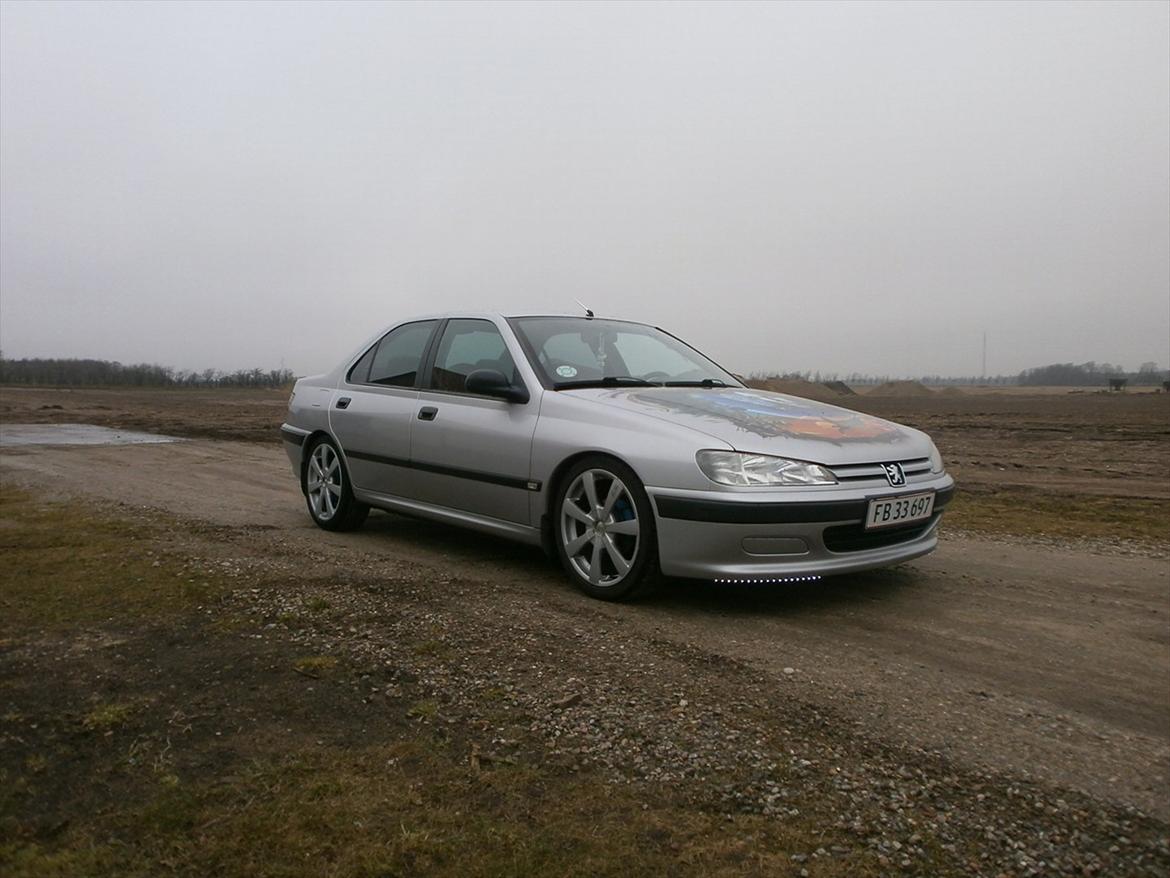 Peugeot 406 airbrush billede 2