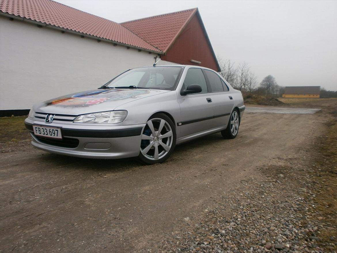 Peugeot 406 airbrush billede 3