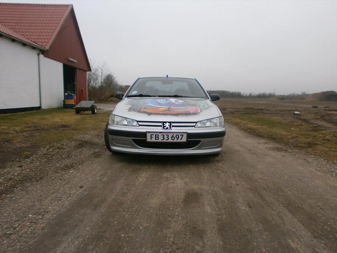 Peugeot 406 airbrush billede 6