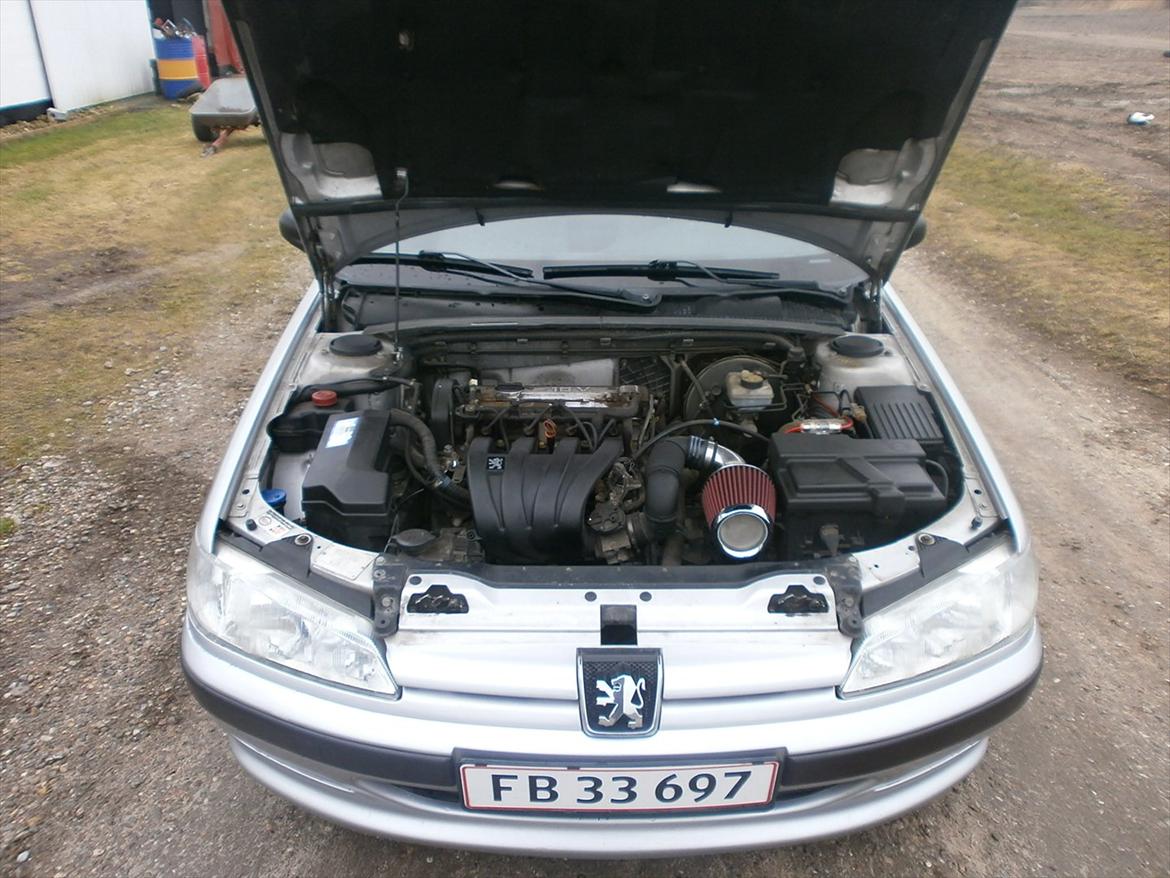 Peugeot 406 airbrush billede 9