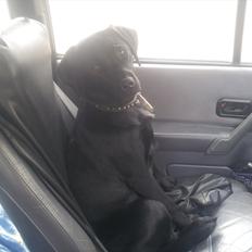 Ford escort cab solgt