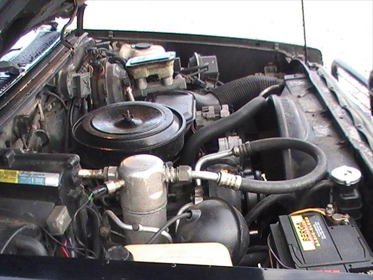 Chevrolet S10  (Solgt) billede 11