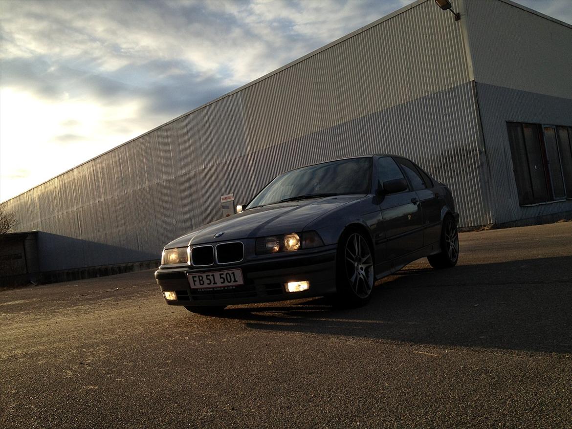 BMW e36 325i SOlGT billede 5