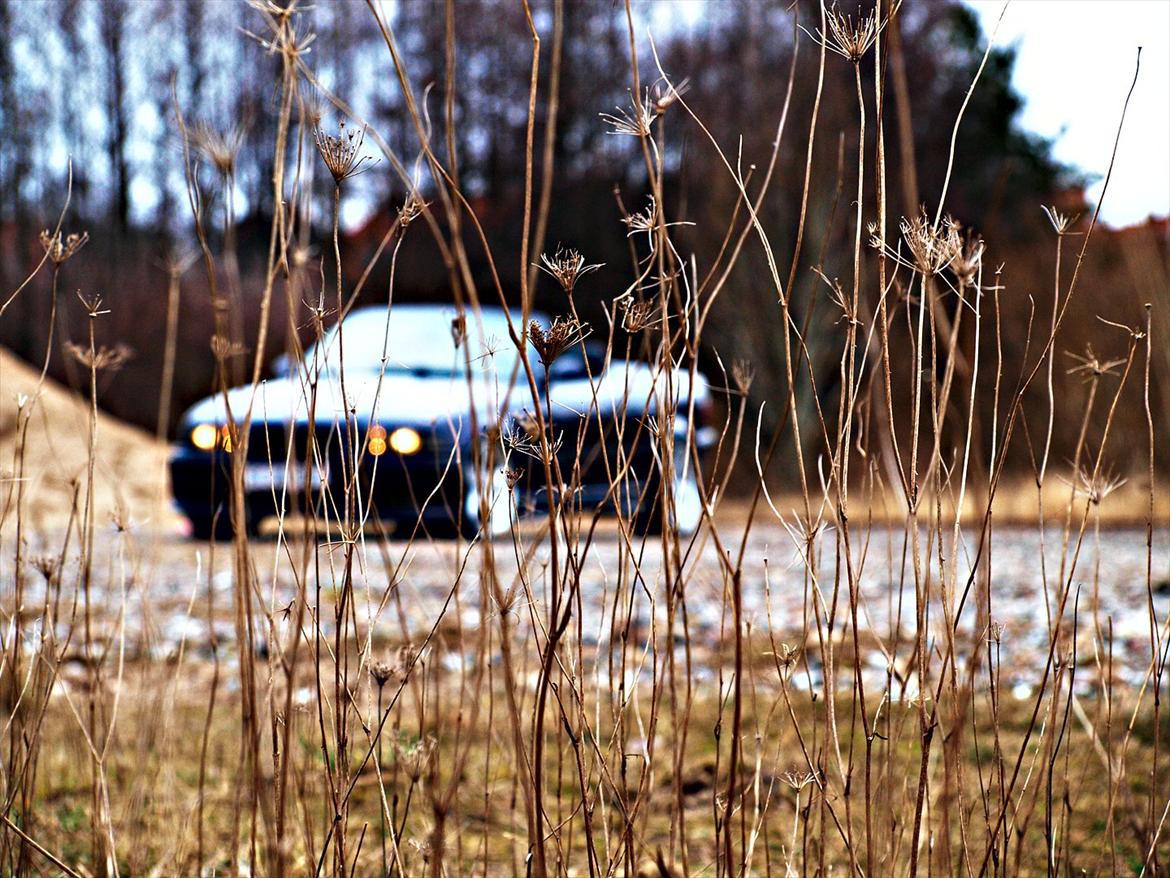 BMW E36 Cabriolet (solgt) - Location: Horsens, Nedlagt DSB areal.
Foto og redigering: Mathias Have billede 8