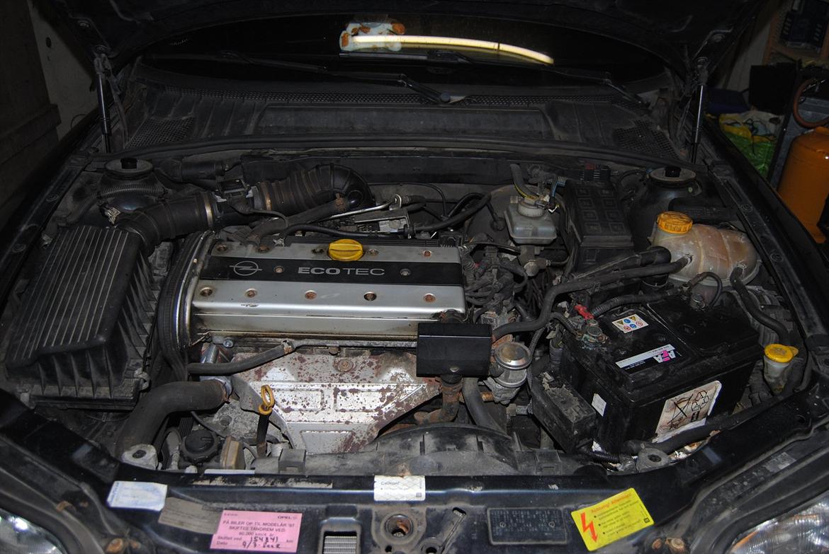 Opel Vectra St. Car  *Vera* billede 18