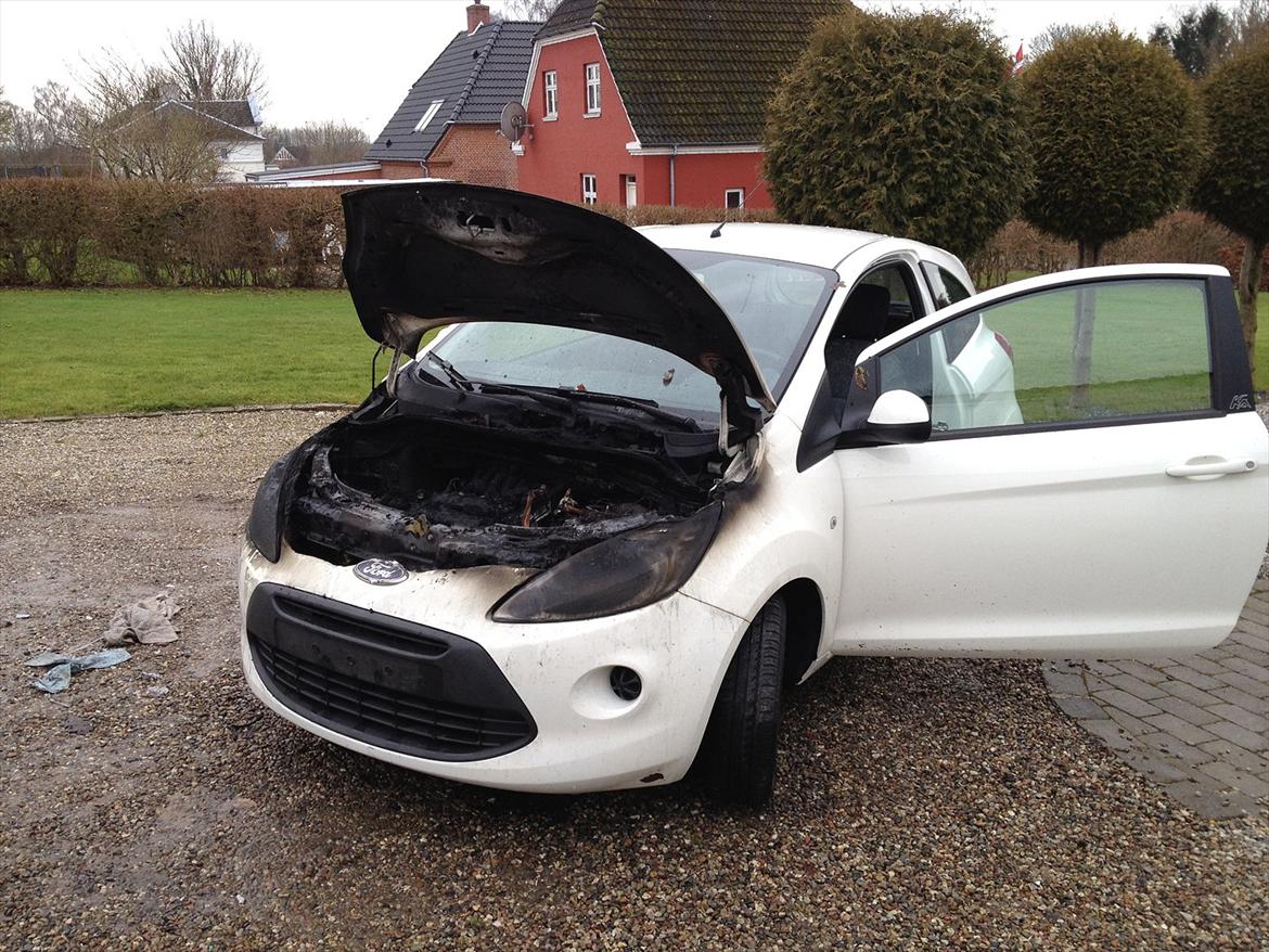 Ford Ka 1,2 Brændt :'( billede 11