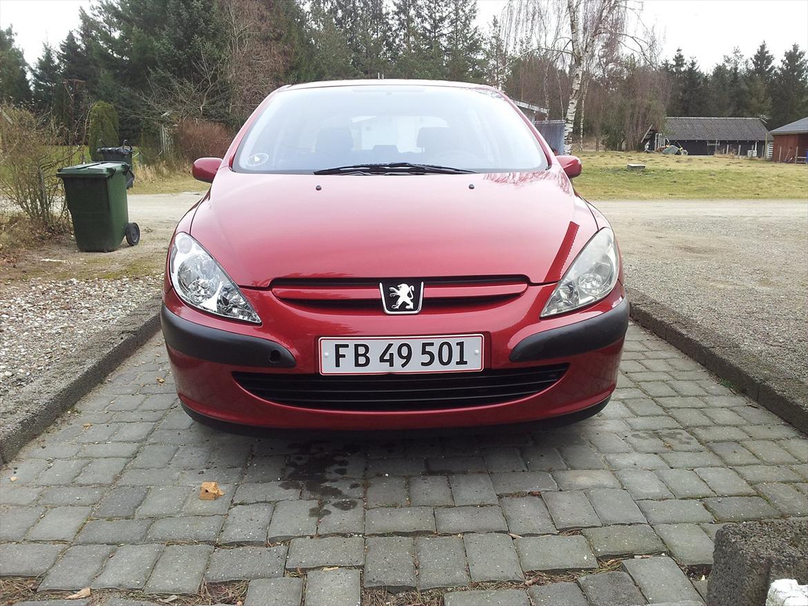 Peugeot 307 2,0 16v billede 1