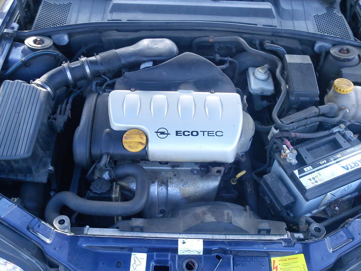 Opel Vectra B.  (Solgt) billede 12