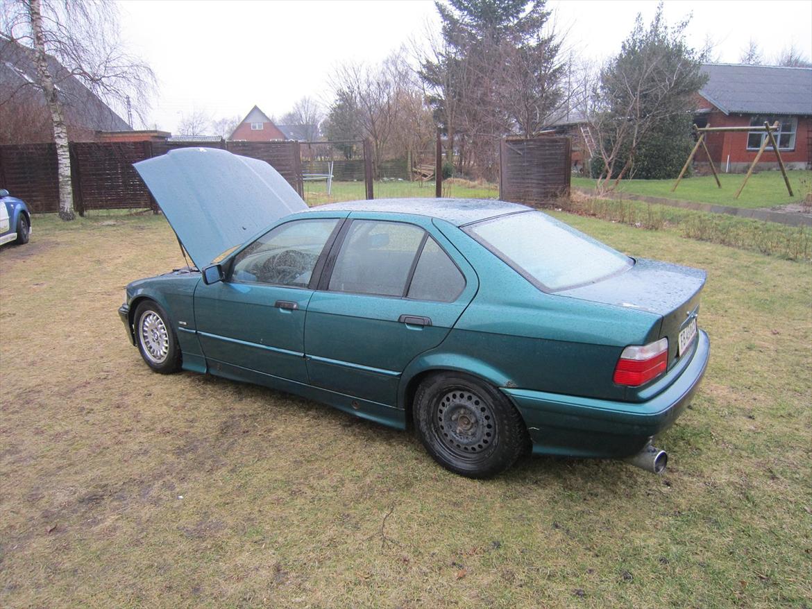 BMW E36 320i billede 5