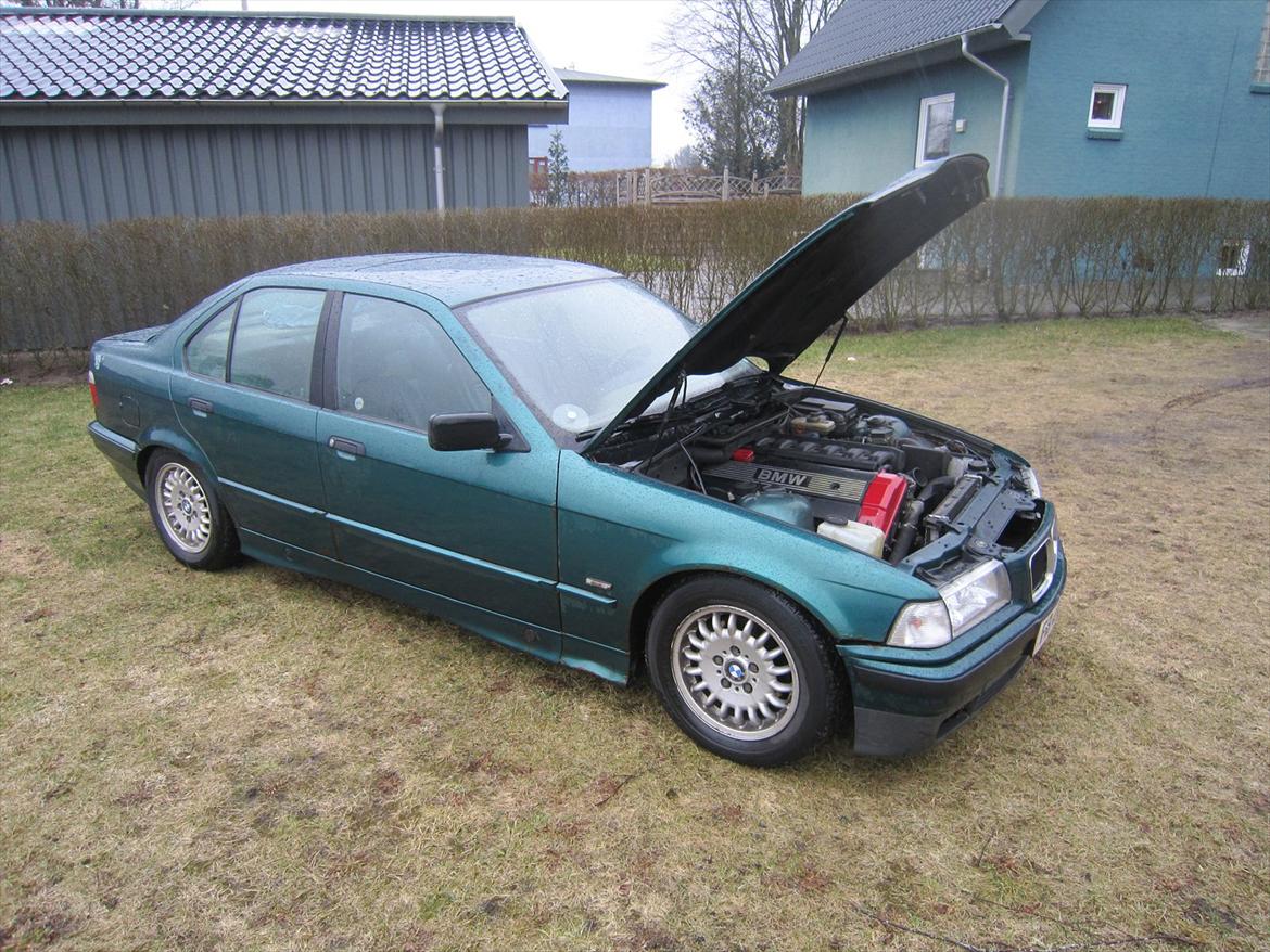 BMW E36 320i billede 12