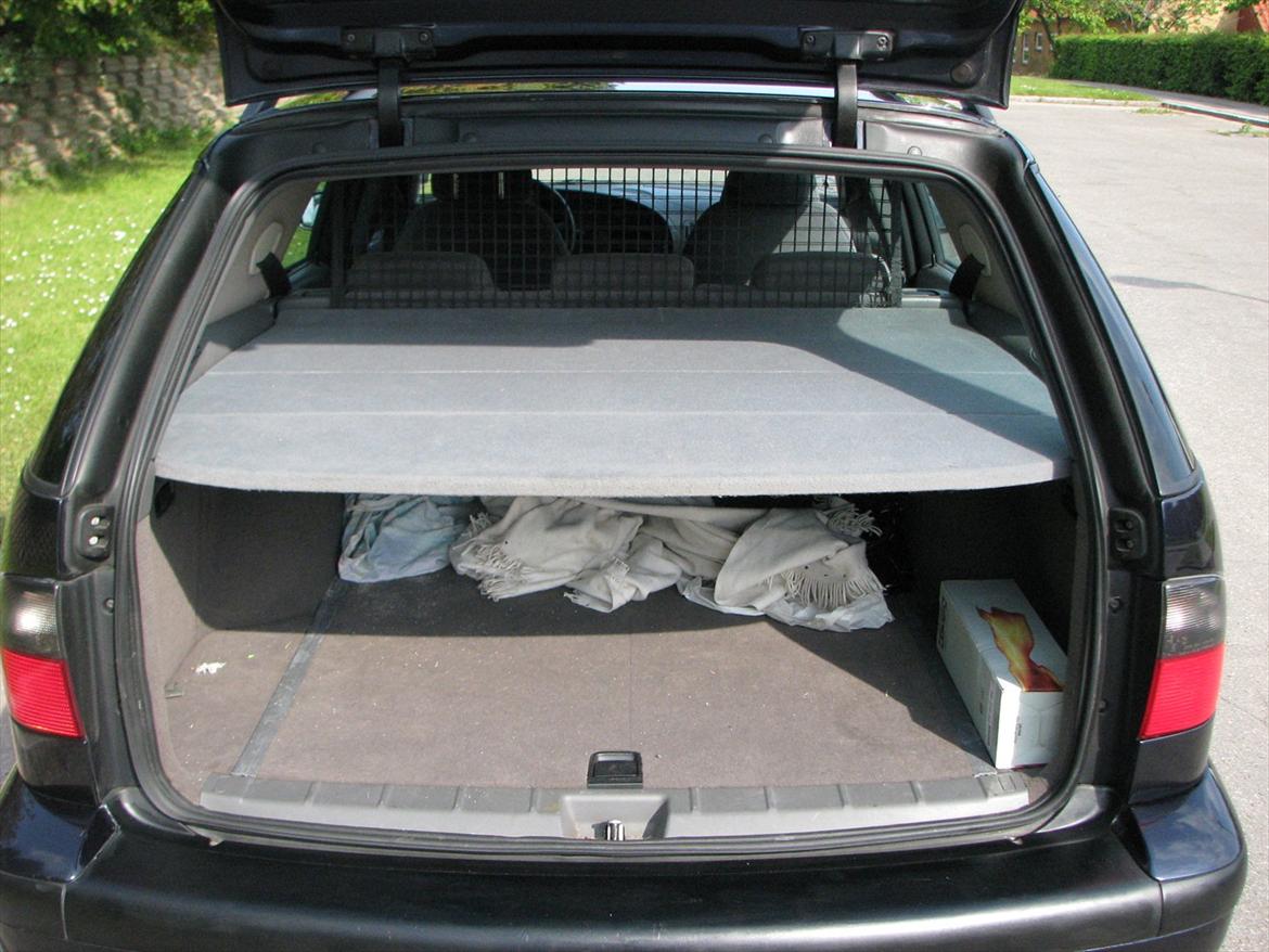 Saab 9-5 - Hvis du skulle ramme en elg. billede 6