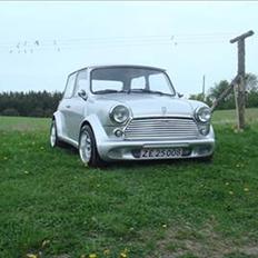 Mini morris mascot 1000