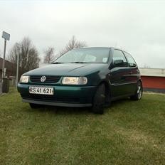 VW Polo 6N