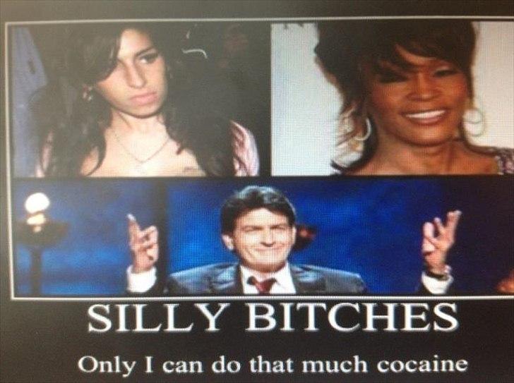 VW Bobbel sommer vognen  billede 8