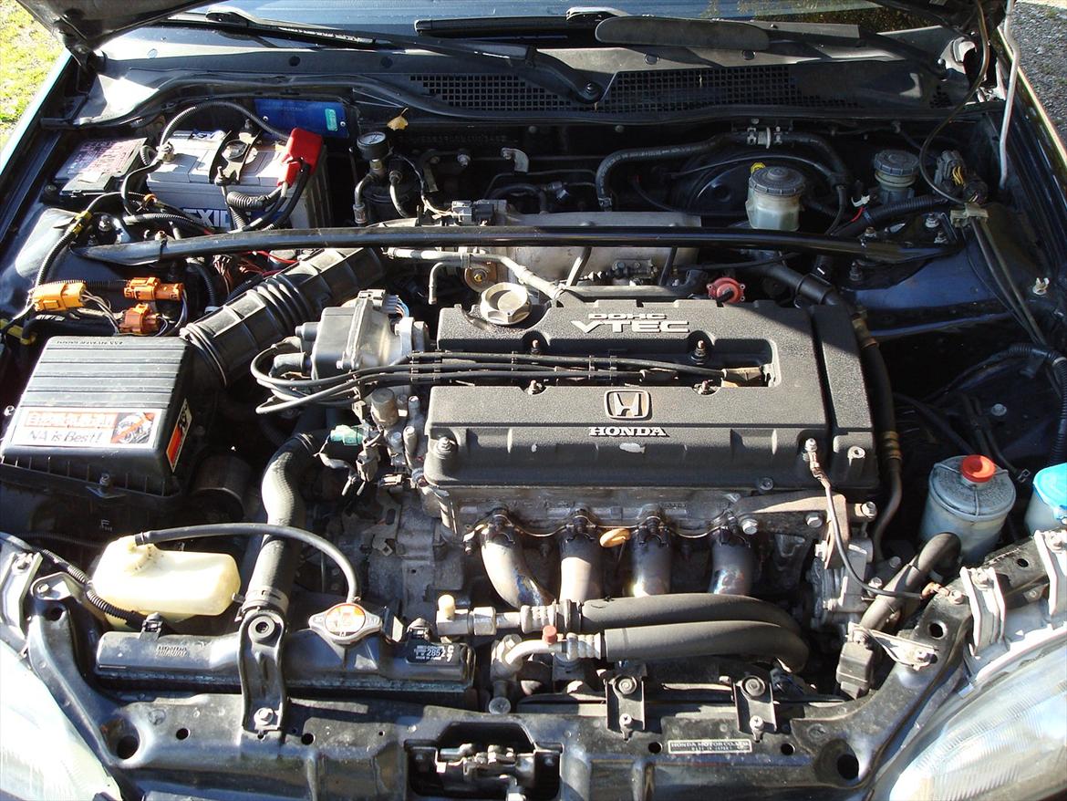 Honda Civic EG6 billede 6