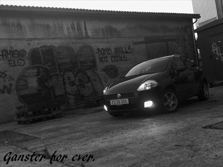 Fiat Grande punto - Nanna (SOLGT) billede 1