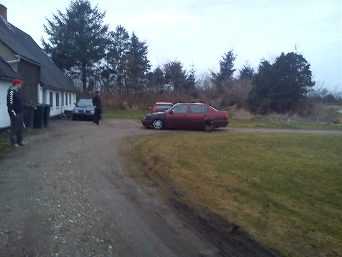 VW Vento CL billede 3