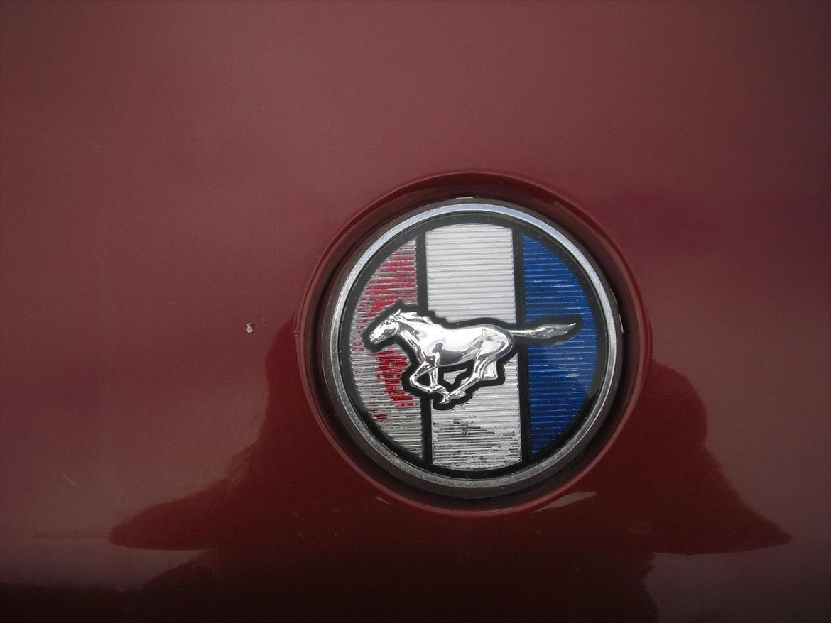 Ford mustang billede 4