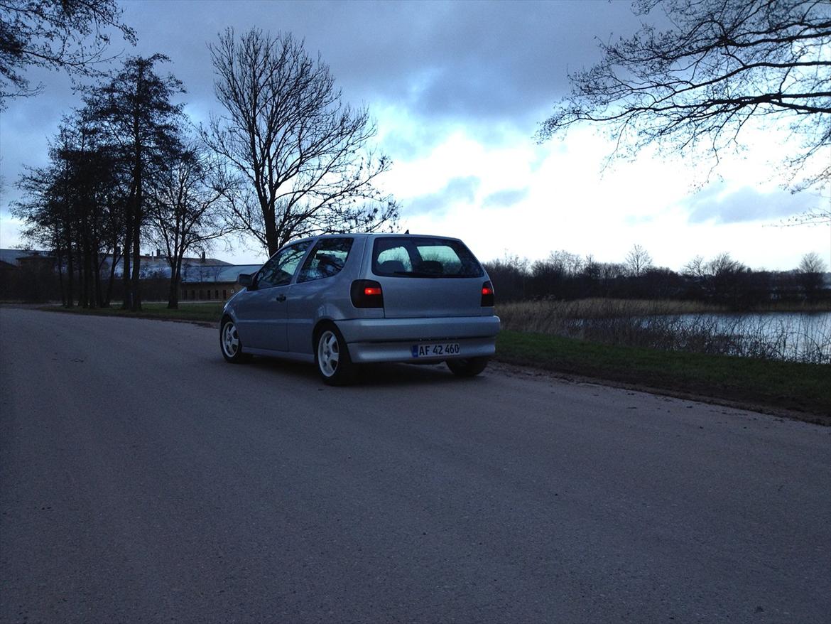 VW Polo 6N  billede 6