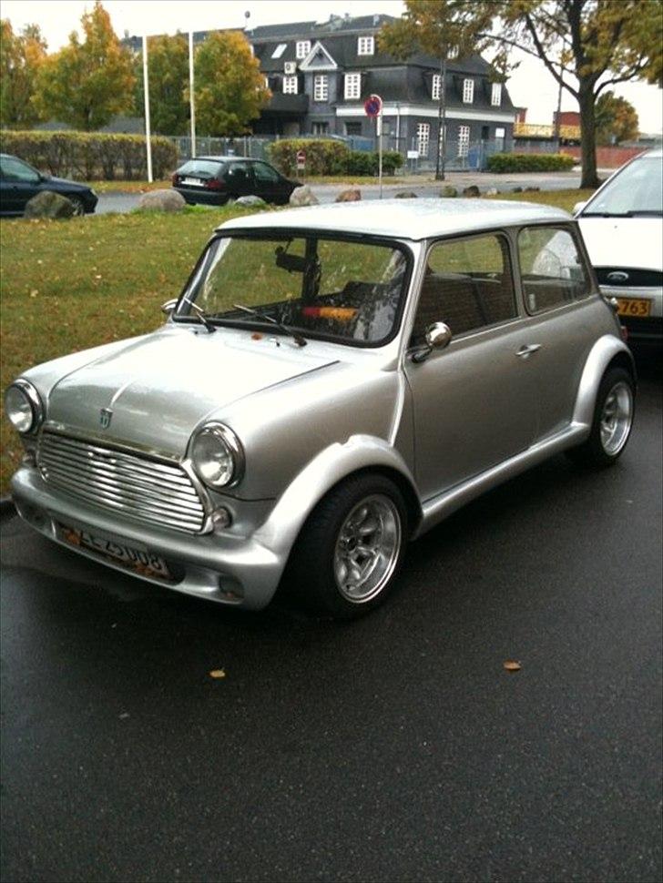 Mini morris mascot 1000 billede 3