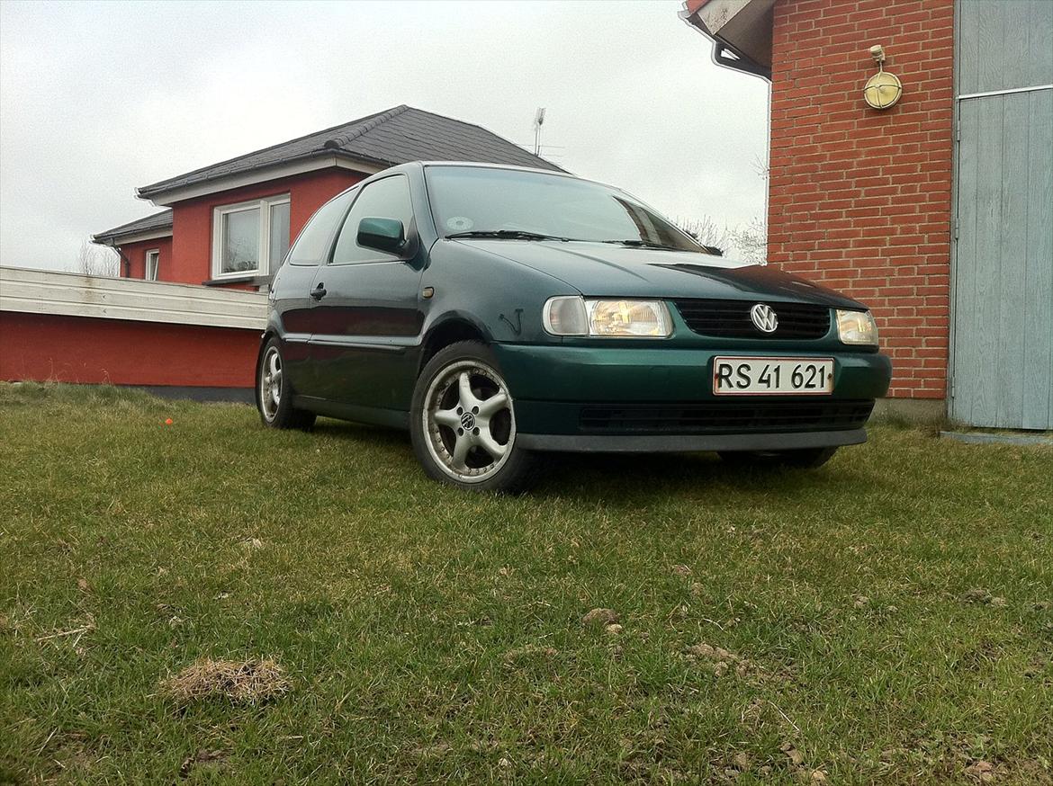 VW Polo 6N billede 2