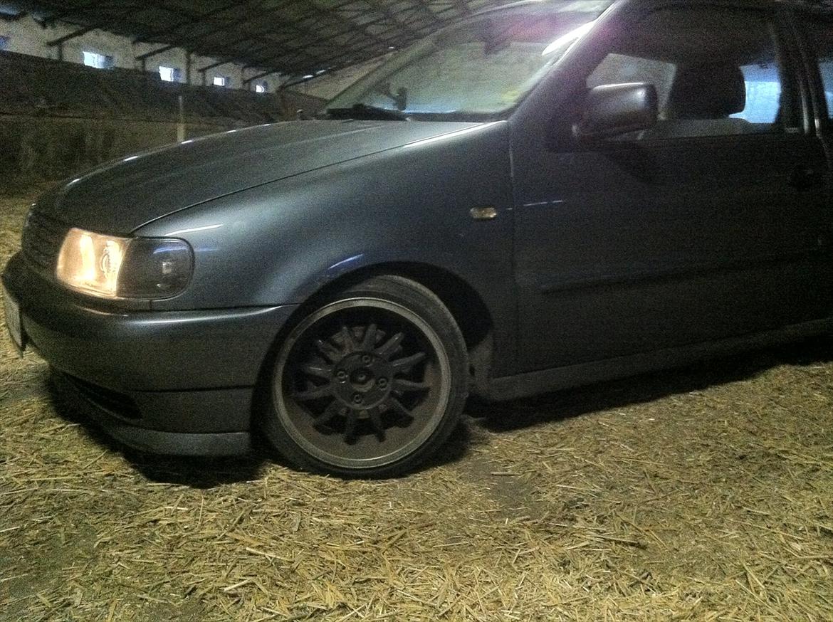VW polo 6n billede 3