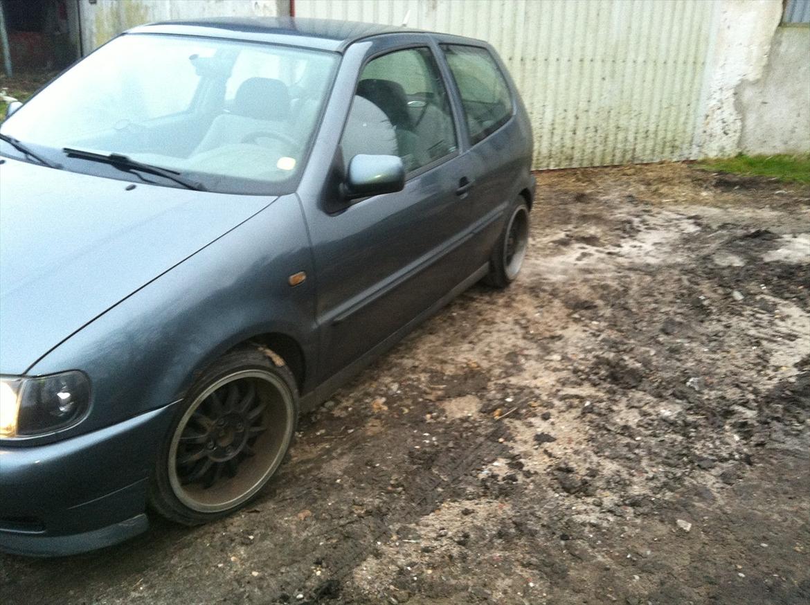 VW polo 6n billede 5