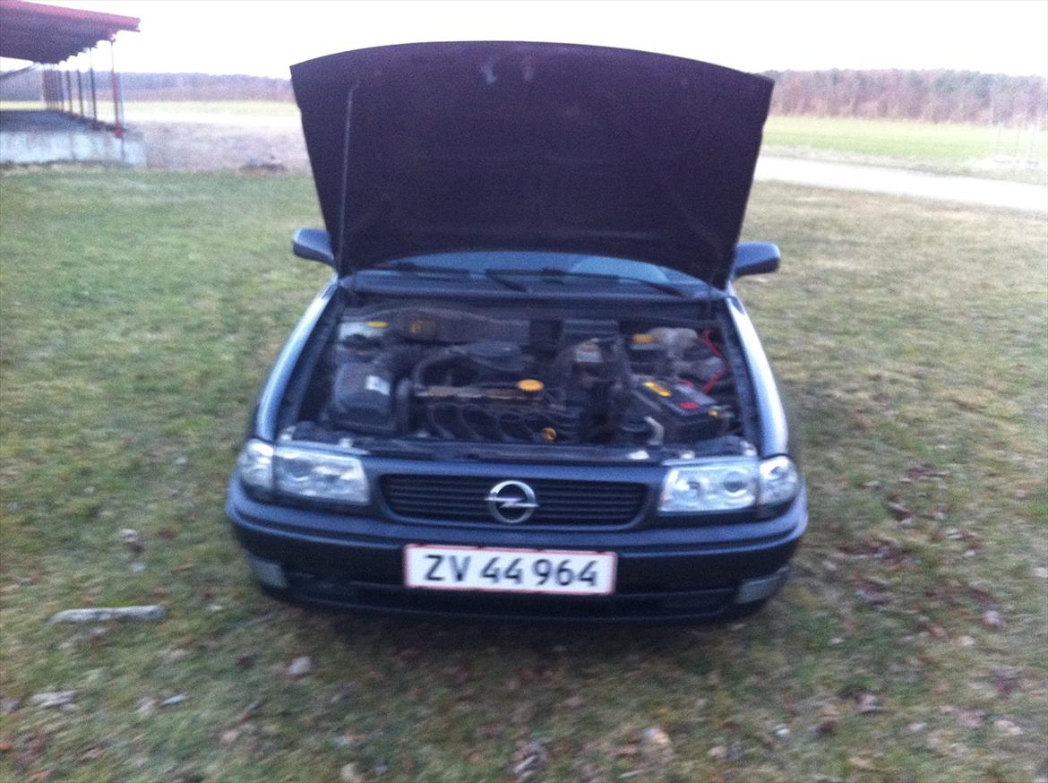 Opel astra f st.car billede 9