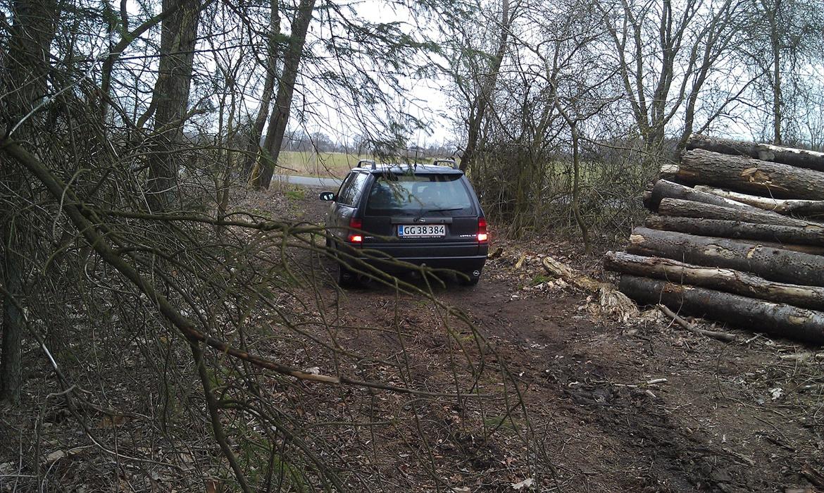 Opel astra f st.car billede 5