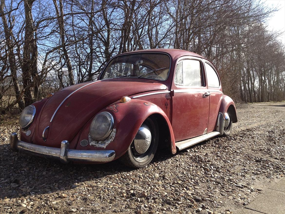 VW Bobbel - Den er flot i solen. billede 10
