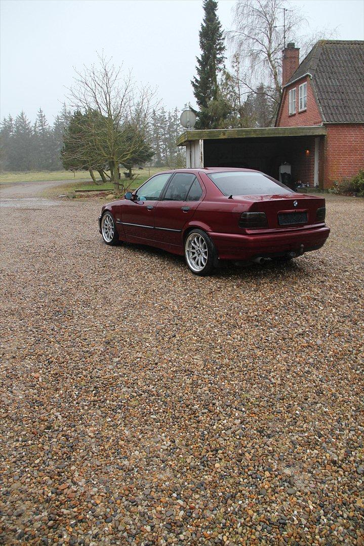 BMW E36 325 TDS billede 3