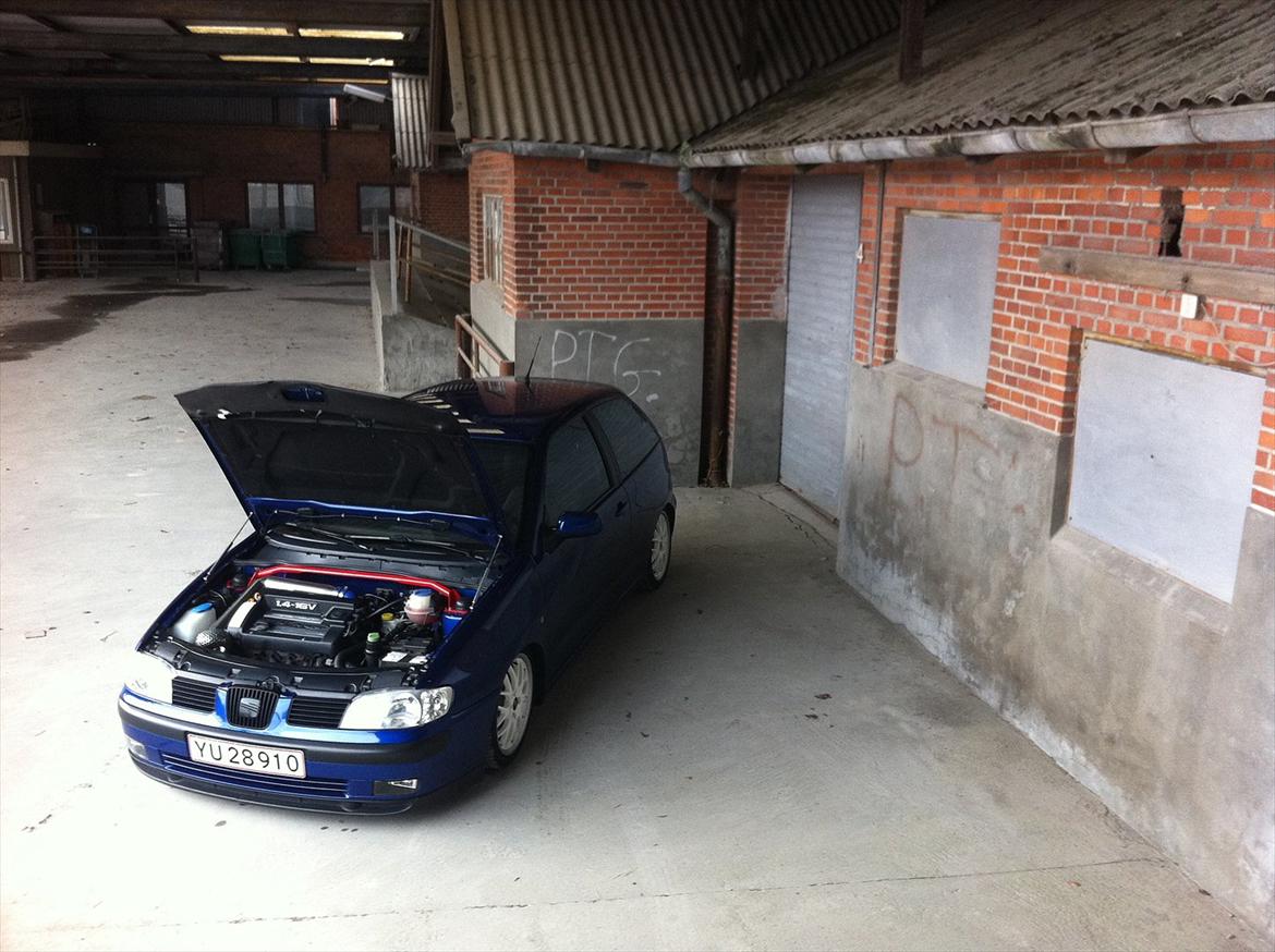 Seat Ibiza  (Tidl.bil) billede 6