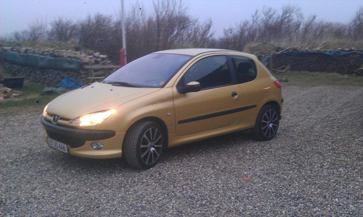 Peugeot 206, s16 billede 1