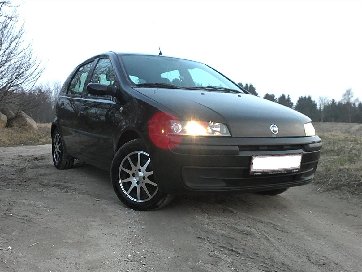 Fiat Punto 1,2 HLX 80 billede 1