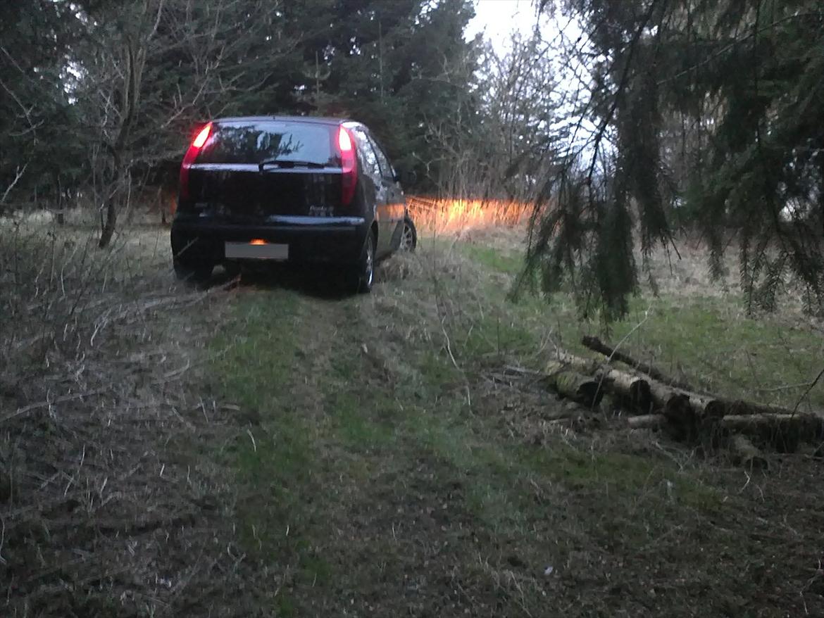 Fiat Punto 1,2 HLX 80 billede 15