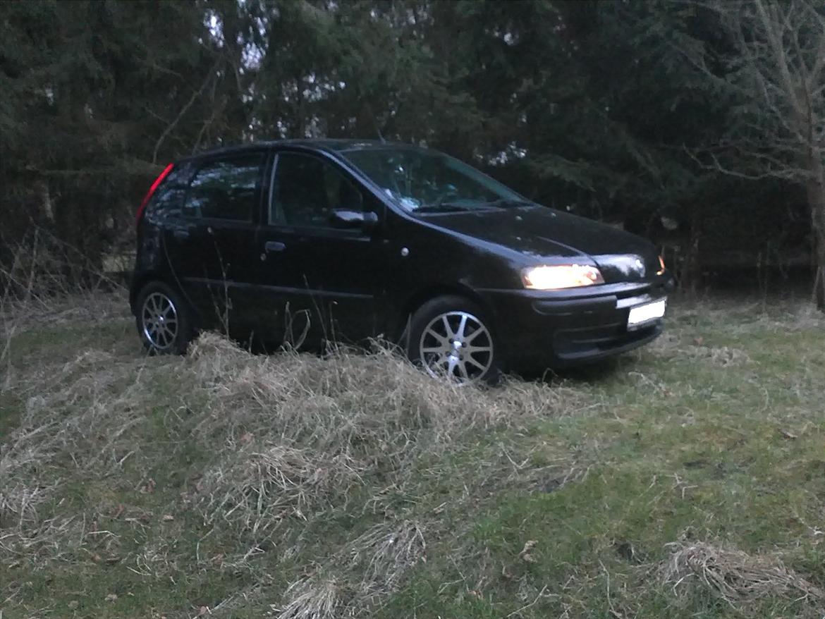 Fiat Punto 1,2 HLX 80 billede 16