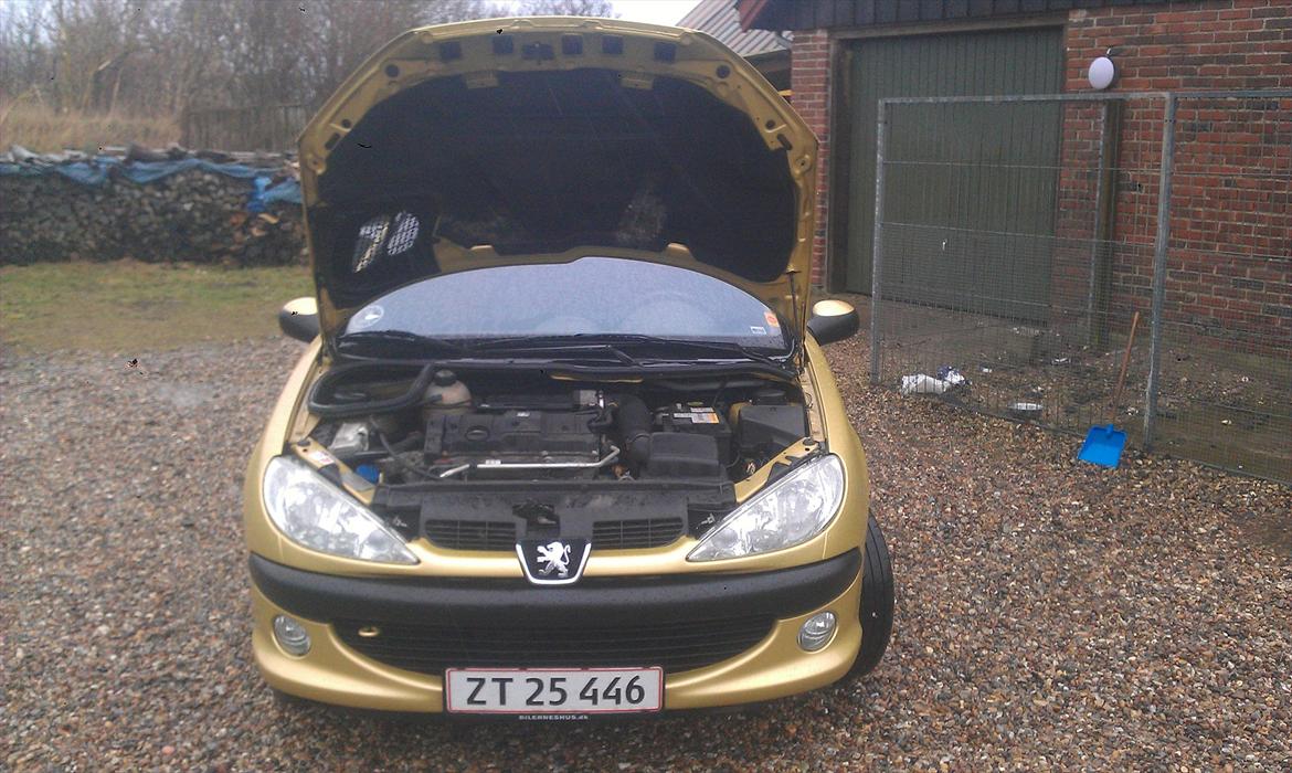 Peugeot 206, s16 billede 7