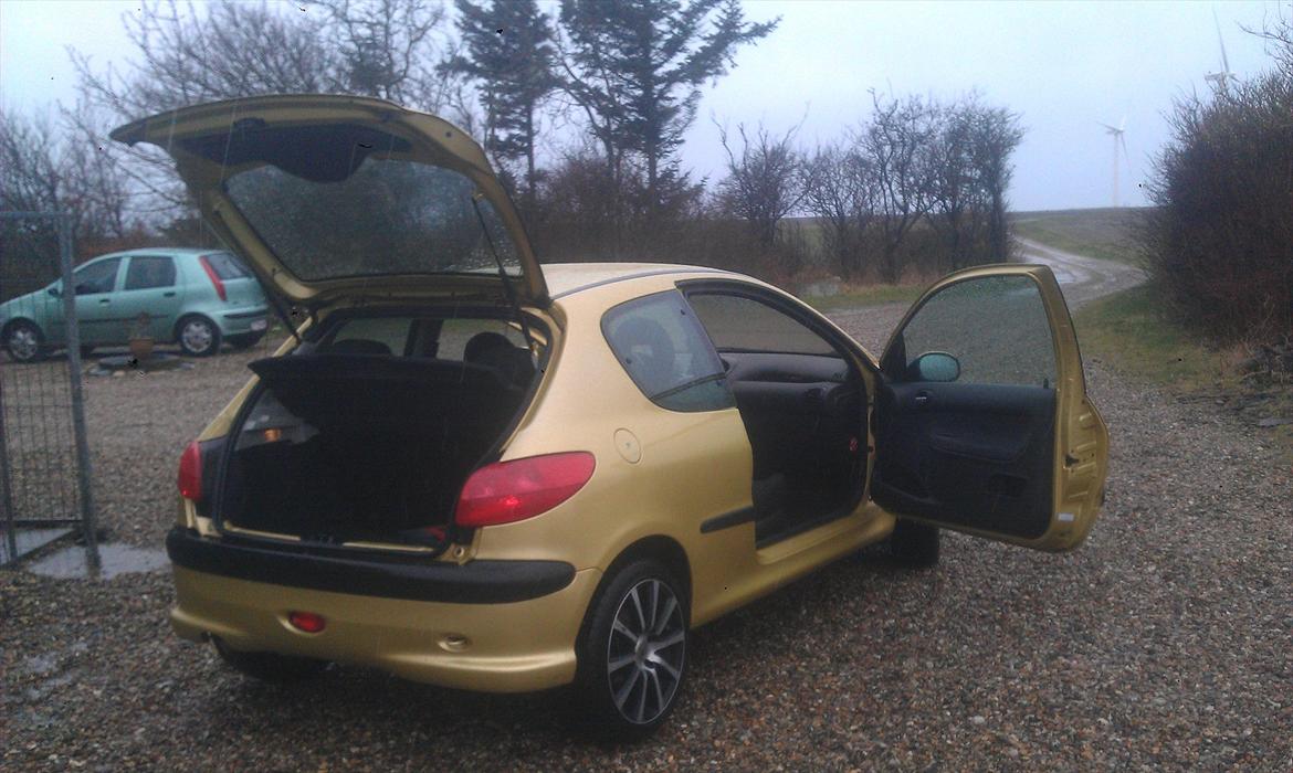Peugeot 206, s16 billede 12