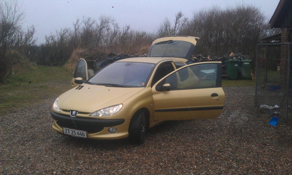 Peugeot 206, s16 billede 13